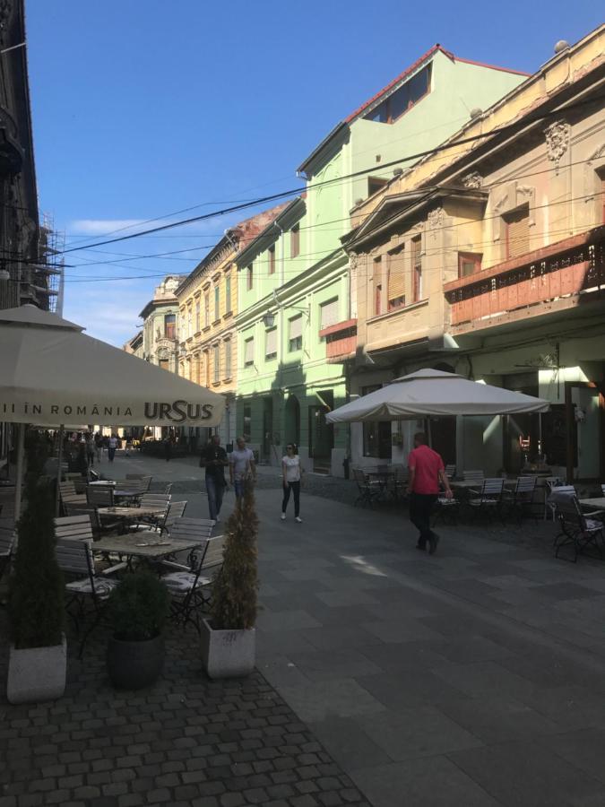 Savoya Nr3 Studio Old City Center Self Check-In Timişoara Exteriör bild