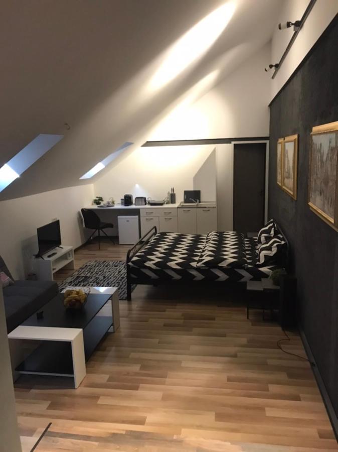 Savoya Nr3 Studio Old City Center Self Check-In Timişoara Exteriör bild